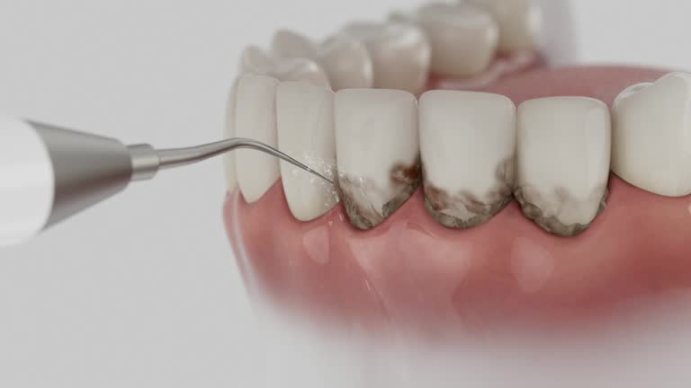 Reliable Dental contractor in Marquette Heights, IL by Dentist Open Now